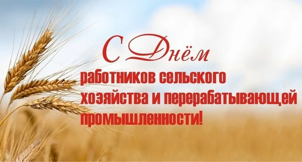 С Днём работников сельского хозяйства и перерабатывающей промышленности