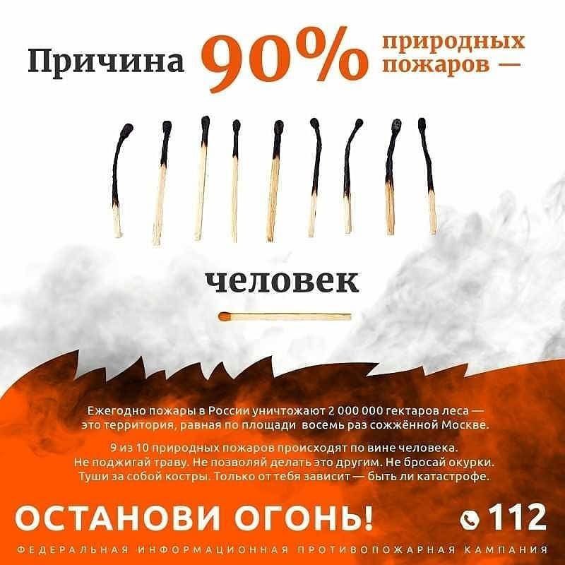 Природные пожары: угроза, которую можно предотвратить