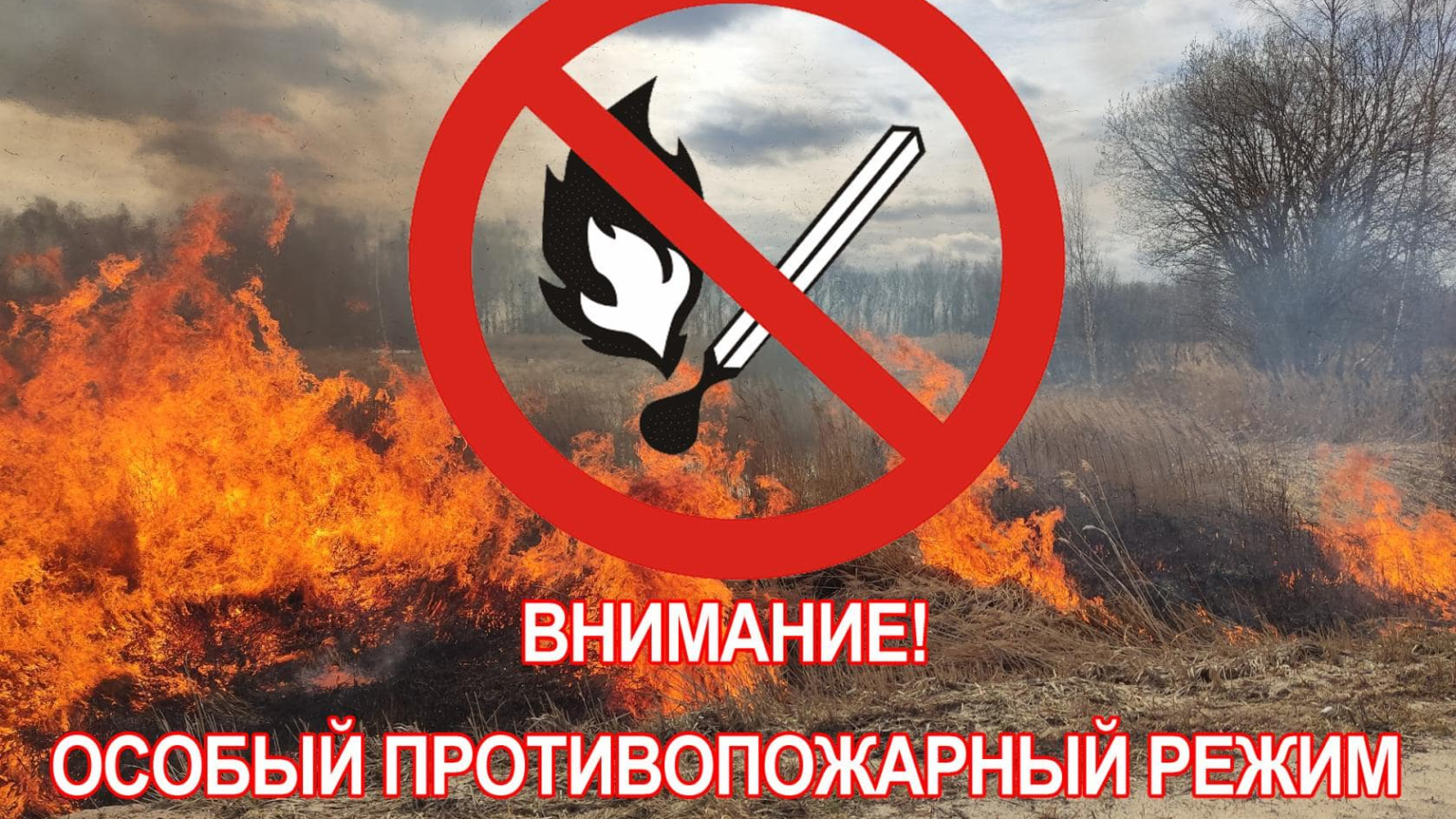 Требования пожарной безопасности в условиях особого противопожарного режима