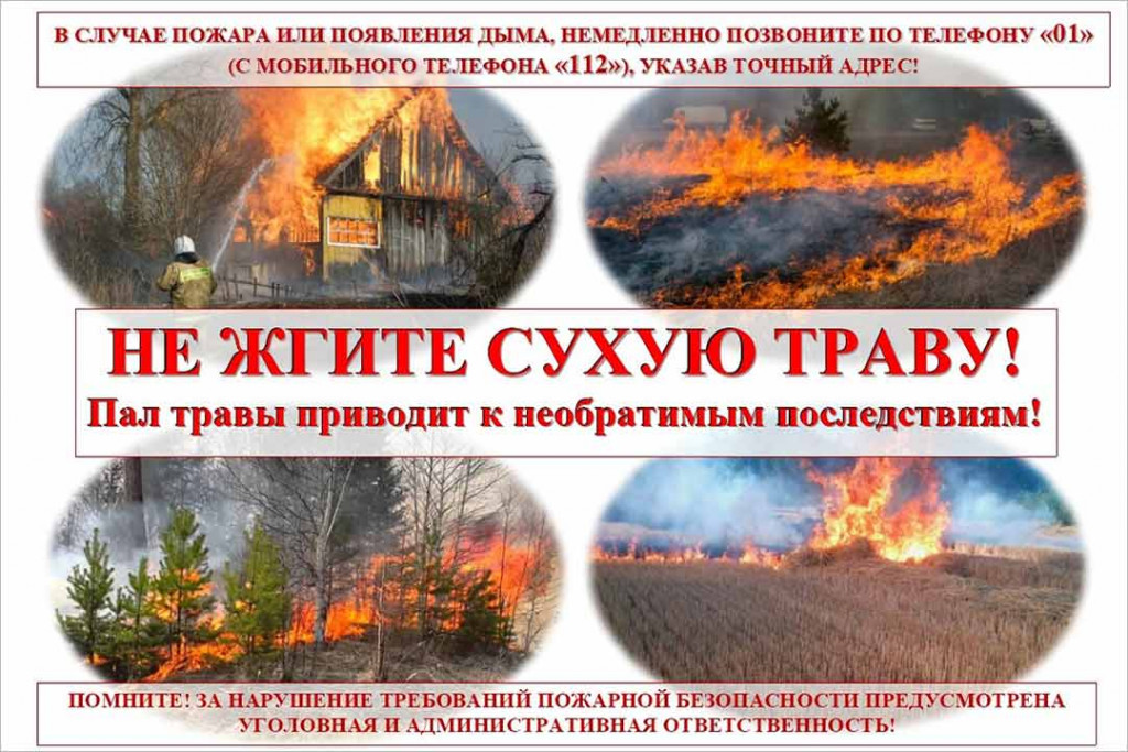 Не жгите сухую траву! Последствия и ответственность