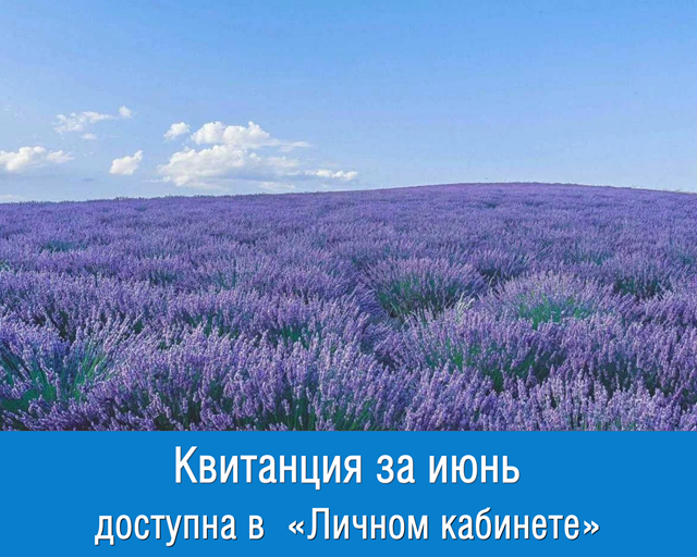 «Мой Газ»